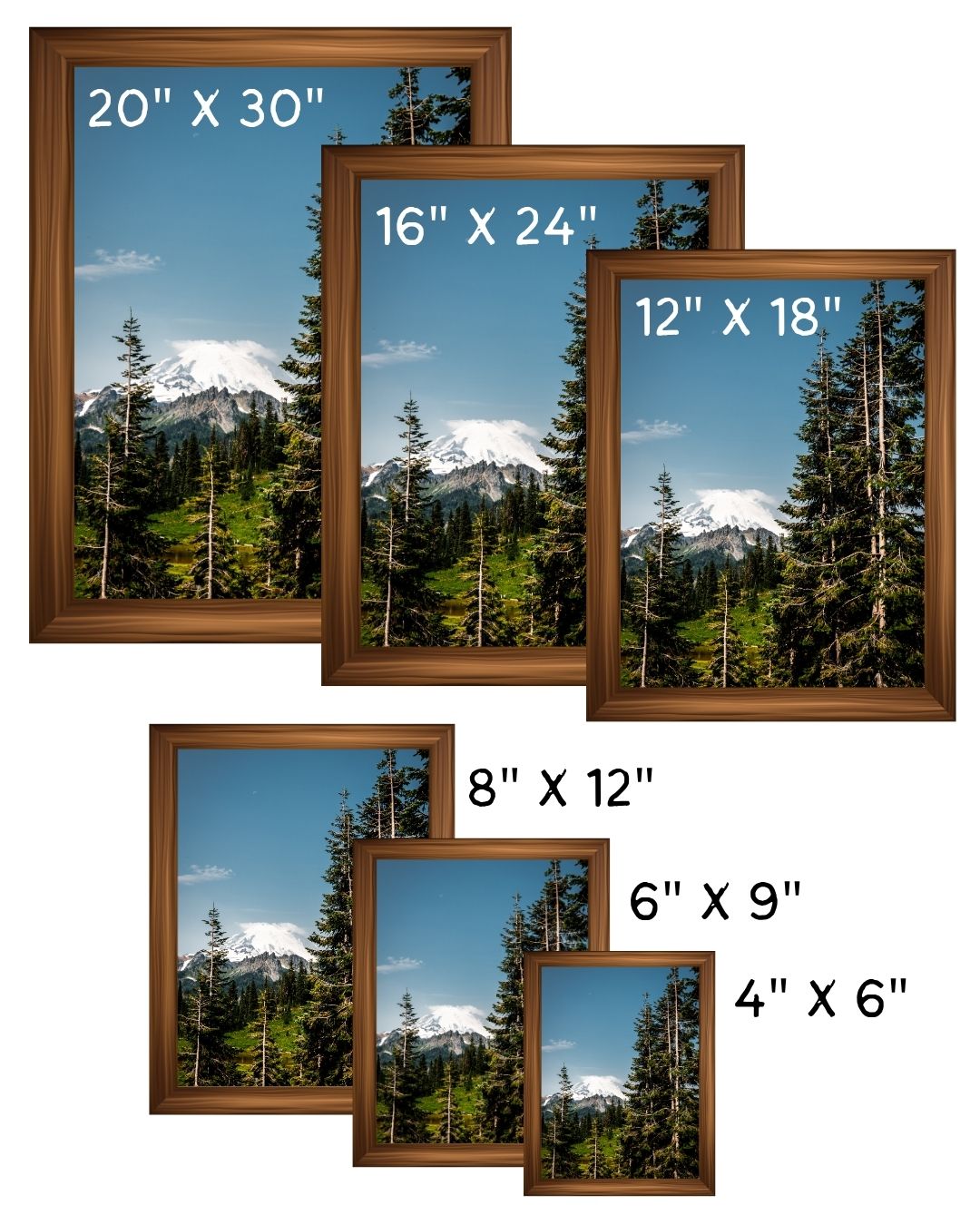 Mt. Rainier