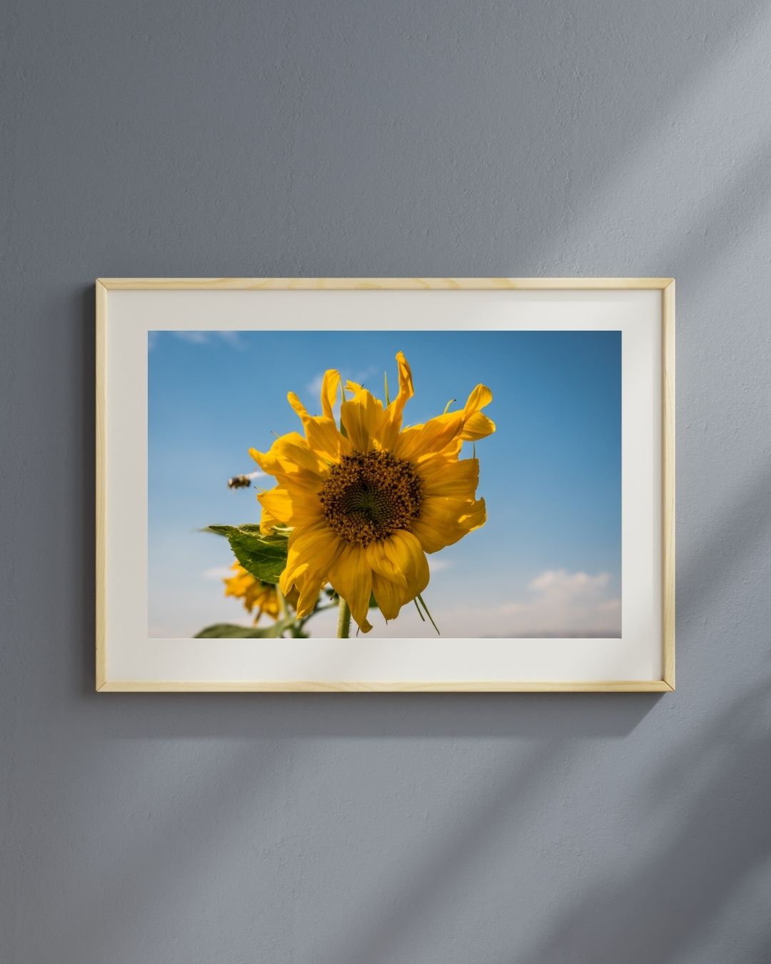Sunflower – Kayla Jones Creative