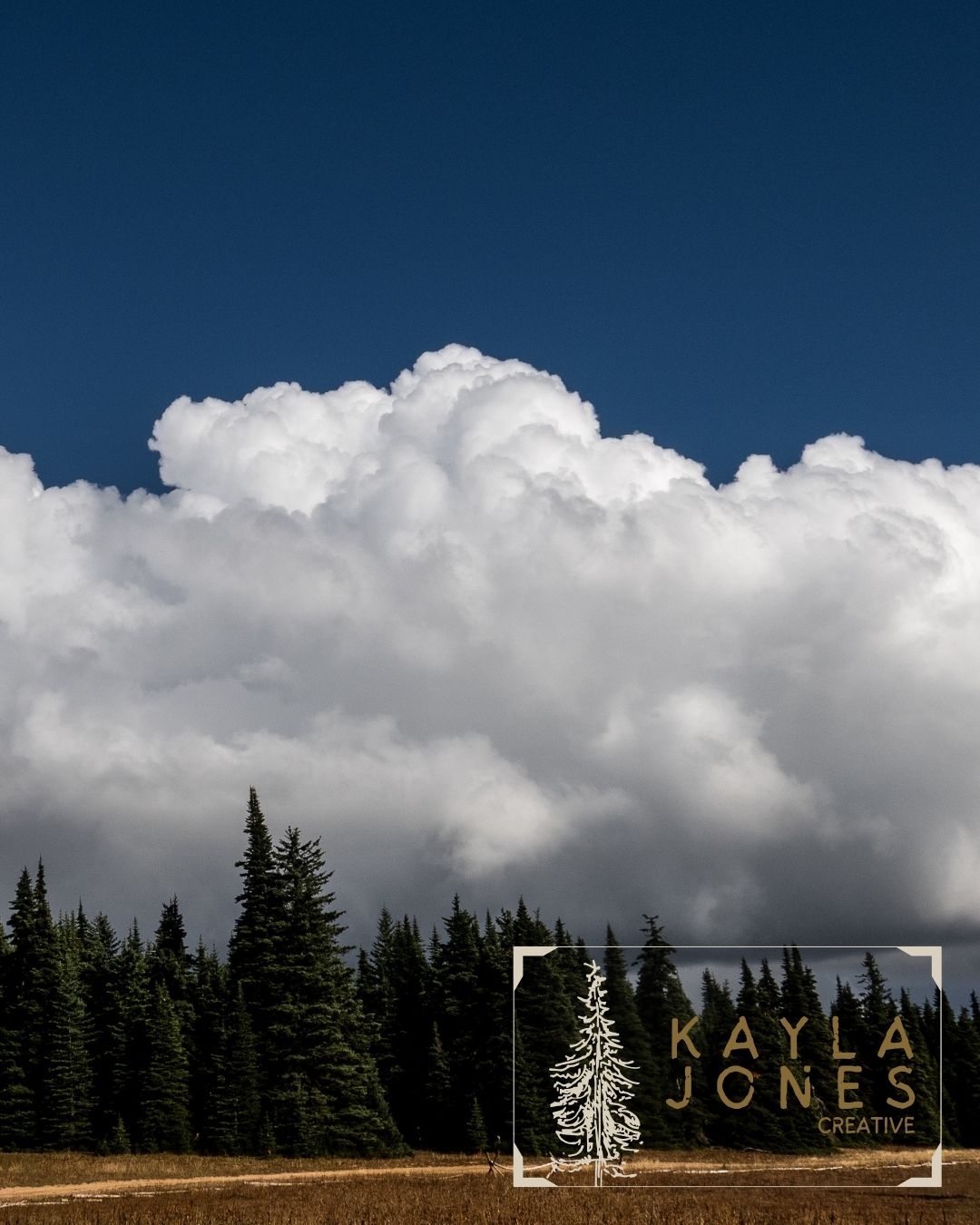 Cascade Clouds