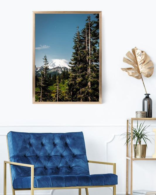 Mt. Rainier