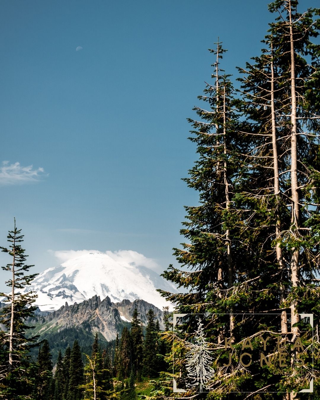 Mt. Rainier